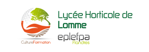 image logo_Lycee_Lomme.png (46.2kB)