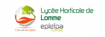 image logo_Lycee_Lomme.png (46.2kB)